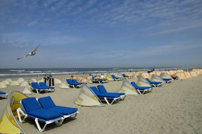 Life@Sea Apartman Zandvoort Kültér fotó